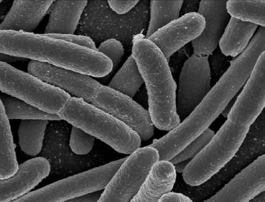 Αυτά είναι τα δωμάτια με τα περισσότερα βακτήρια στο σπίτι